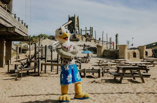 Zep speeltuin Gestrand 10.jpg