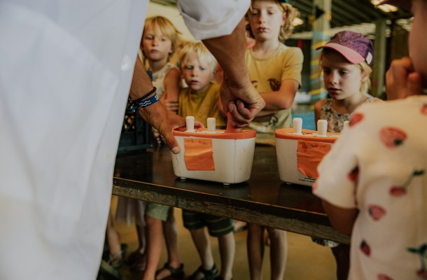 beeldbank_fotografieDeLakens_aug2023-1345.jpg