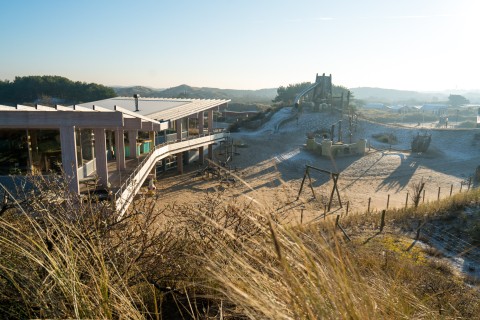 Gestrand in de Winter